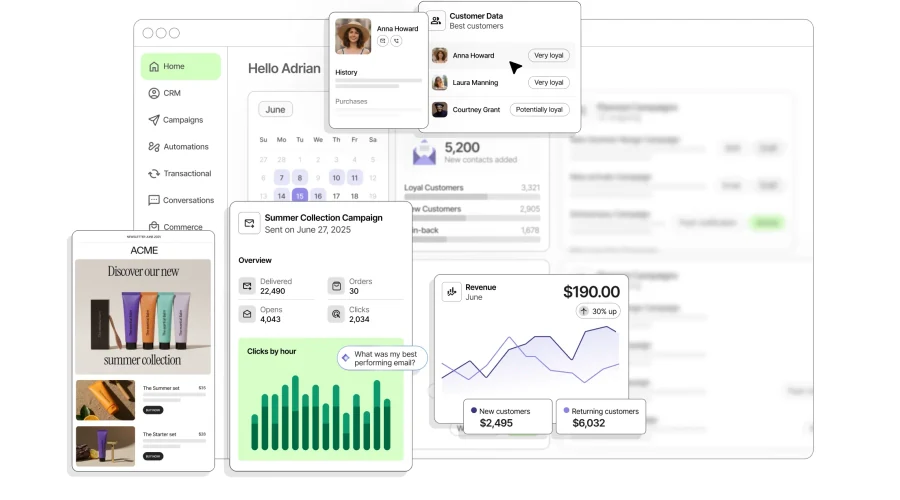 Brevo business application preview