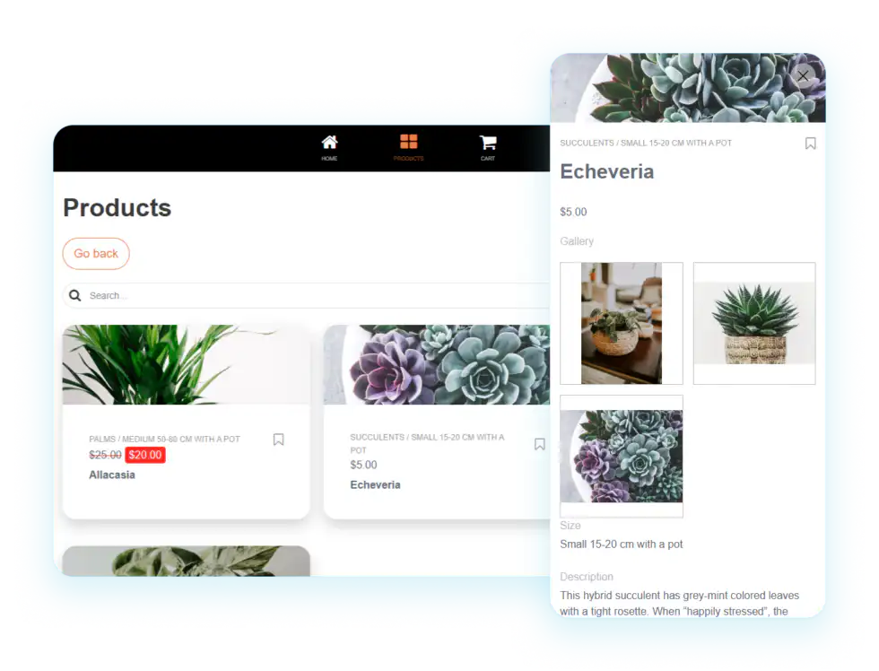 Web app publishing preview showing a branded app experience on desktop and mobile
