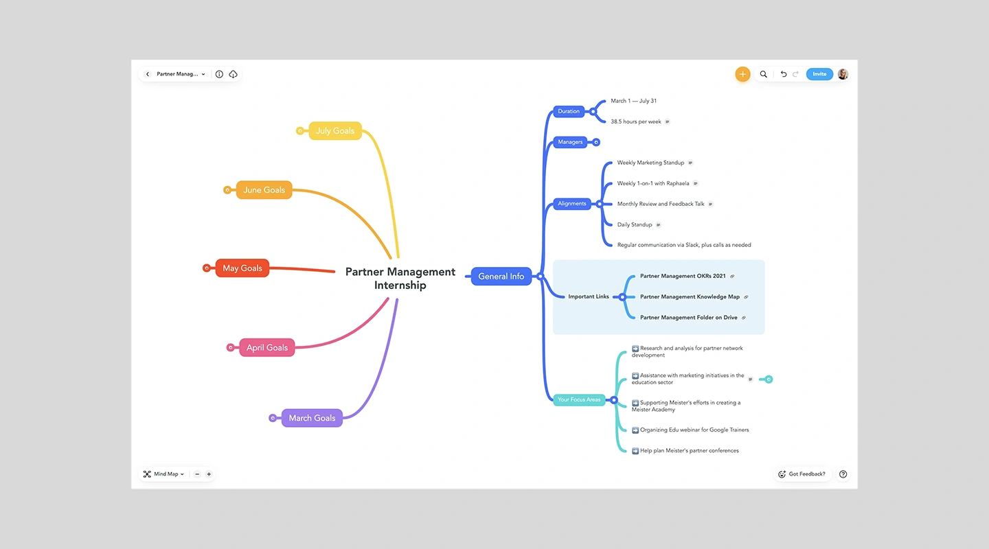 MindMeister mind mapping interface